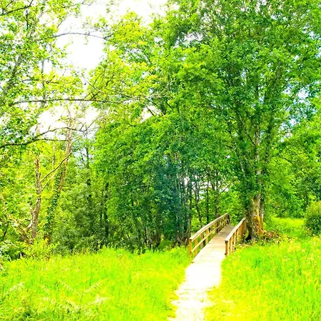 A Casa Do Aloumino Da Auga Mondariz Vt-po-00148 Y Prexigueiro Obsequio Entrada Por Persona A Circuito Termal * San Felix (Pontevedra)