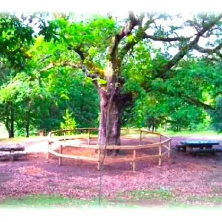 펜션 A Casa Do Aloumino Da Auga Mondariz Vt-po-00148 Y Prexigueiro Obsequio Entrada Por Persona A Circuito Termal San Felix (Pontevedra)