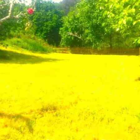 A Casa Do Aloumino Da Auga Mondariz Vt-po-00148 Y Prexigueiro Obsequio Entrada Por Persona A Circuito Termal *