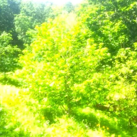 펜션 A Casa Do Aloumino Da Auga Mondariz Vt-po-00148 Y Prexigueiro Obsequio Entrada Por Persona A Circuito Termal *