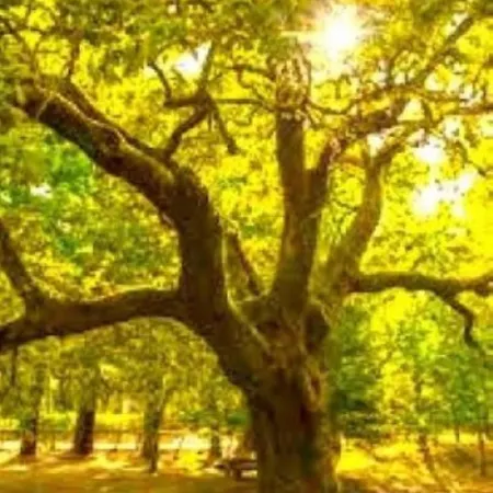 펜션 A Casa Do Aloumino Da Auga Mondariz Vt-po-00148 Y Prexigueiro Obsequio Entrada Por Persona A Circuito Termal *