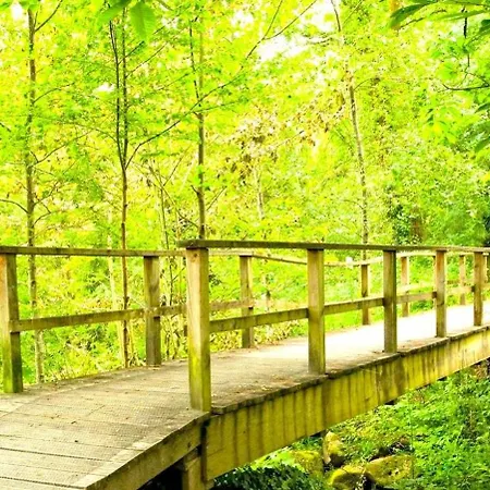 A Casa Do Aloumino Da Auga Mondariz Vt-po-00148 Y Prexigueiro Obsequio Entrada Por Persona A Circuito Termal 펜션