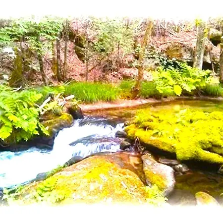 A Casa Do Aloumino Da Auga Mondariz Vt-po-00148 Y Prexigueiro Obsequio Entrada Por Persona A Circuito Termal *