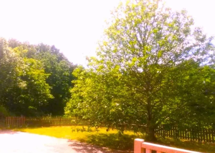 A Casa Do Aloumiño Da Auga Mondariz Vt-po-00148 Y Prexigueiro Obsequio Entrada Por Persona A Circuito Termal San Felix (Pontevedra)