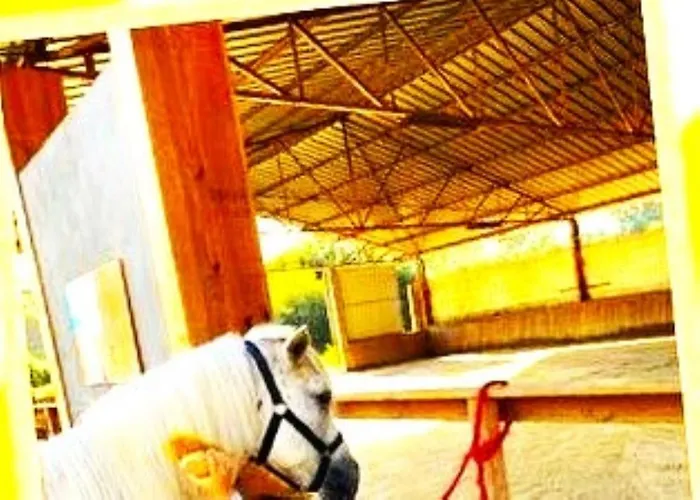 A Casa Do Aloumiño Da Auga Mondariz Vt-po-00148 Y Prexigueiro Obsequio Entrada Por Persona A Circuito Termal San Felix (Pontevedra)