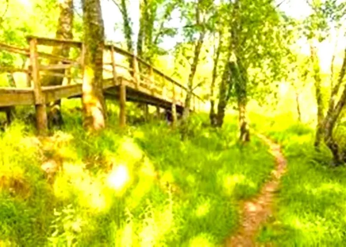 A Casa Do Aloumino Da Auga Mondariz Vt-po-00148 Y Prexigueiro Obsequio Entrada Por Persona A Circuito Termal