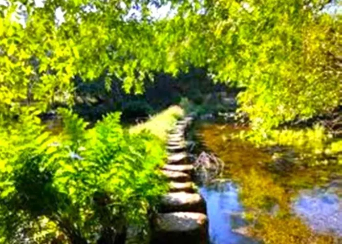 A Casa Do Aloumiño Da Auga Mondariz Vt-po-00148 Y Prexigueiro Obsequio Entrada Por Persona A Circuito Termal Сasa de vacaciones San Felix (Pontevedra)