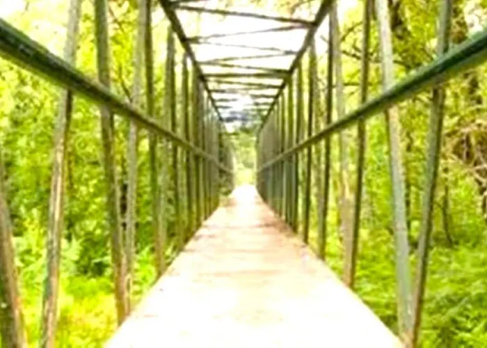 A Casa Do Aloumino Da Auga Mondariz Vt-po-00148 Y Prexigueiro Obsequio Entrada Por Persona A Circuito Termal * San Felix (Pontevedra)