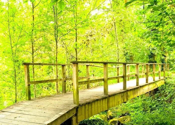 A Casa Do Aloumiño Da Auga Mondariz Vt-po-00148 Y Prexigueiro Obsequio Entrada Por Persona A Circuito Termal Сasa de vacaciones