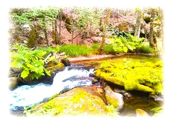 A Casa Do Aloumiño Da Auga Mondariz Vt-po-00148 Y Prexigueiro Obsequio Entrada Por Persona A Circuito Termal *