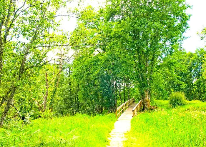 A Casa Do Aloumino Da Auga Mondariz Vt-po-00148 Y Prexigueiro Obsequio Entrada Por Persona A Circuito Termal * San Felix (Pontevedra)