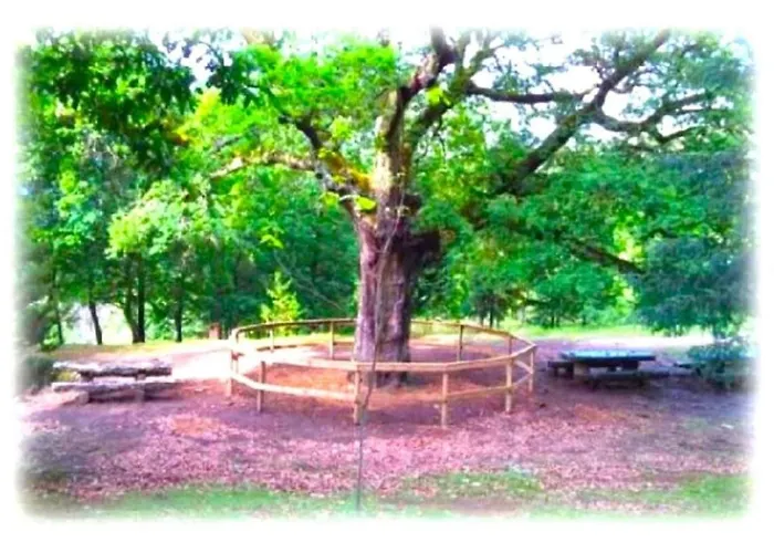 Сasa de vacaciones A Casa Do Aloumiño Da Auga Mondariz Vt-po-00148 Y Prexigueiro Obsequio Entrada Por Persona A Circuito Termal San Felix (Pontevedra)