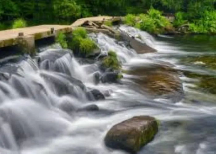 A Casa Do Aloumiño Da Auga Mondariz Vt-po-00148 Y Prexigueiro Obsequio Entrada Por Persona A Circuito Termal * San Felix (Pontevedra)