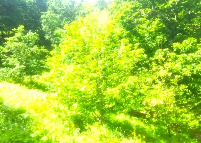 別荘 A Casa Do Aloumino Da Auga Mondariz Vt-po-00148 Y Prexigueiro Obsequio Entrada Por Persona A Circuito Termal *