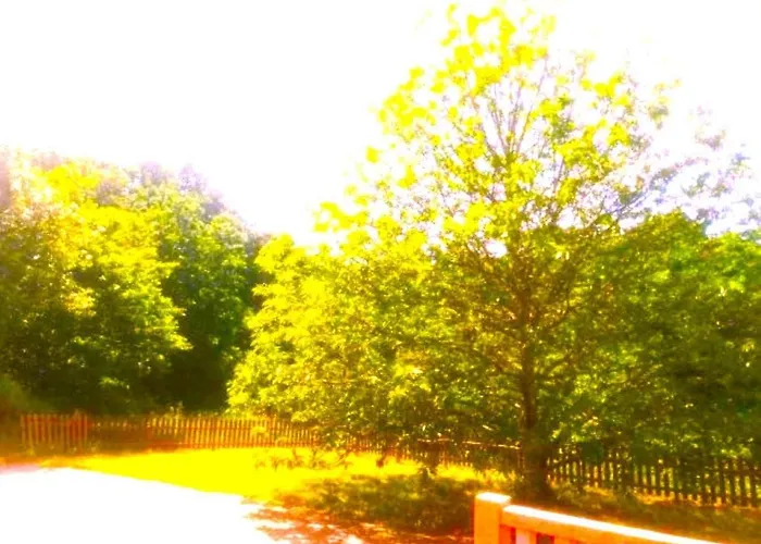 A Casa Do Aloumiño Da Auga Mondariz Vt-po-00148 Y Prexigueiro Obsequio Entrada Por Persona A Circuito Termal Сasa de vacaciones